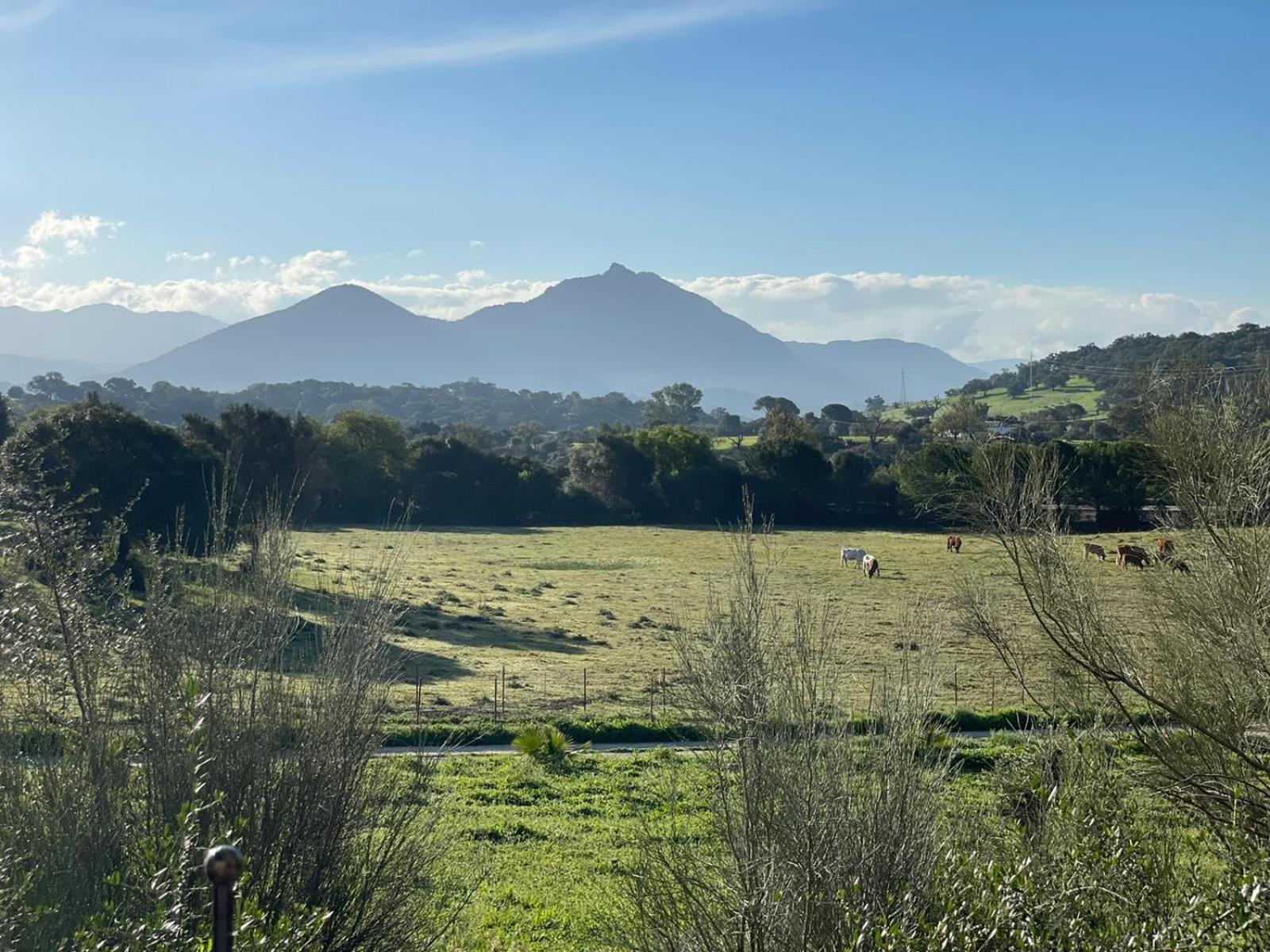 Cabana Rustica En Un Rancho Con Caballos, Prado Del Rey, Andalucia Dış mekan fotoğraf