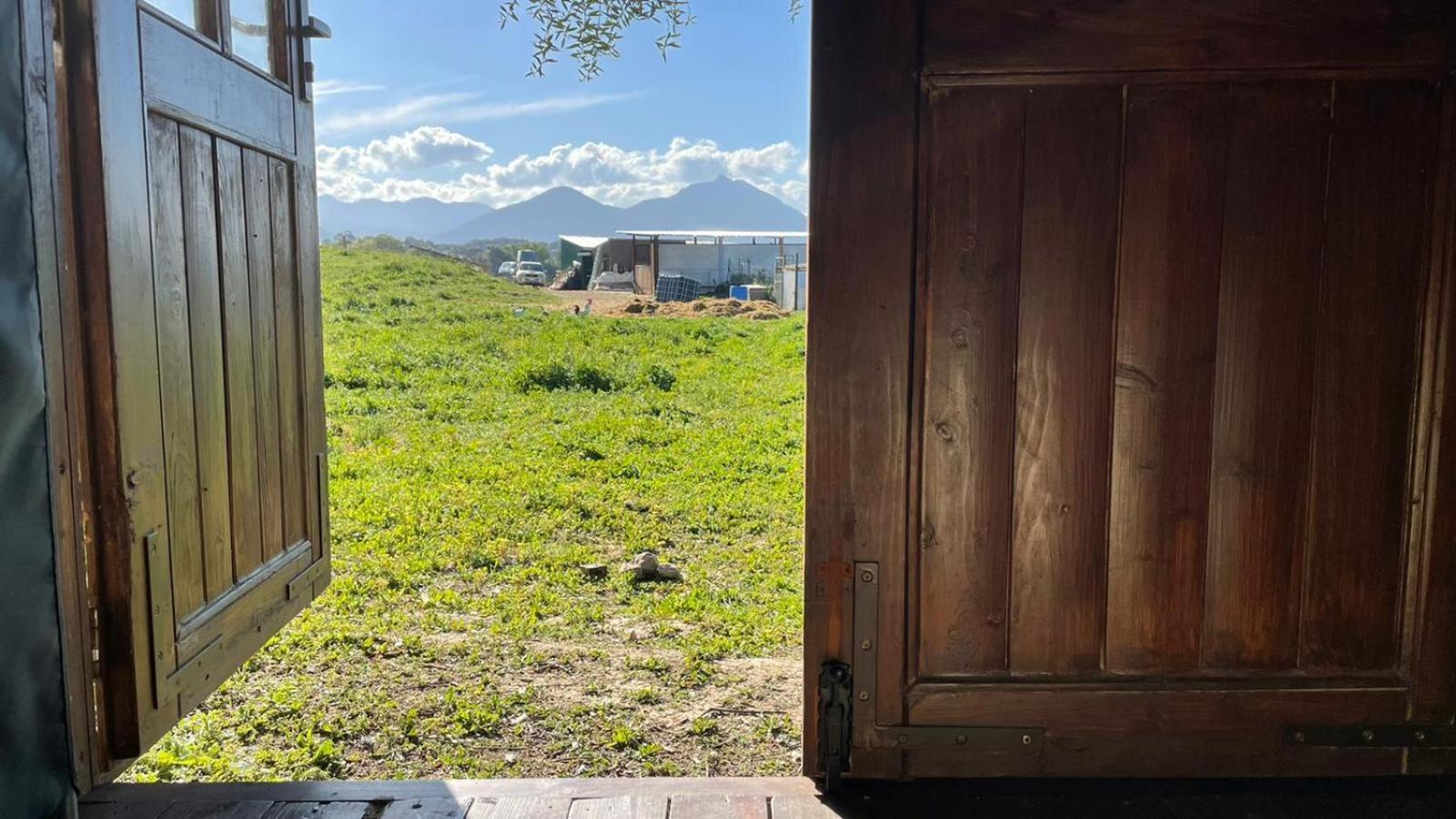 Cabana Rustica En Un Rancho Con Caballos, Prado Del Rey, Andalucia Dış mekan fotoğraf