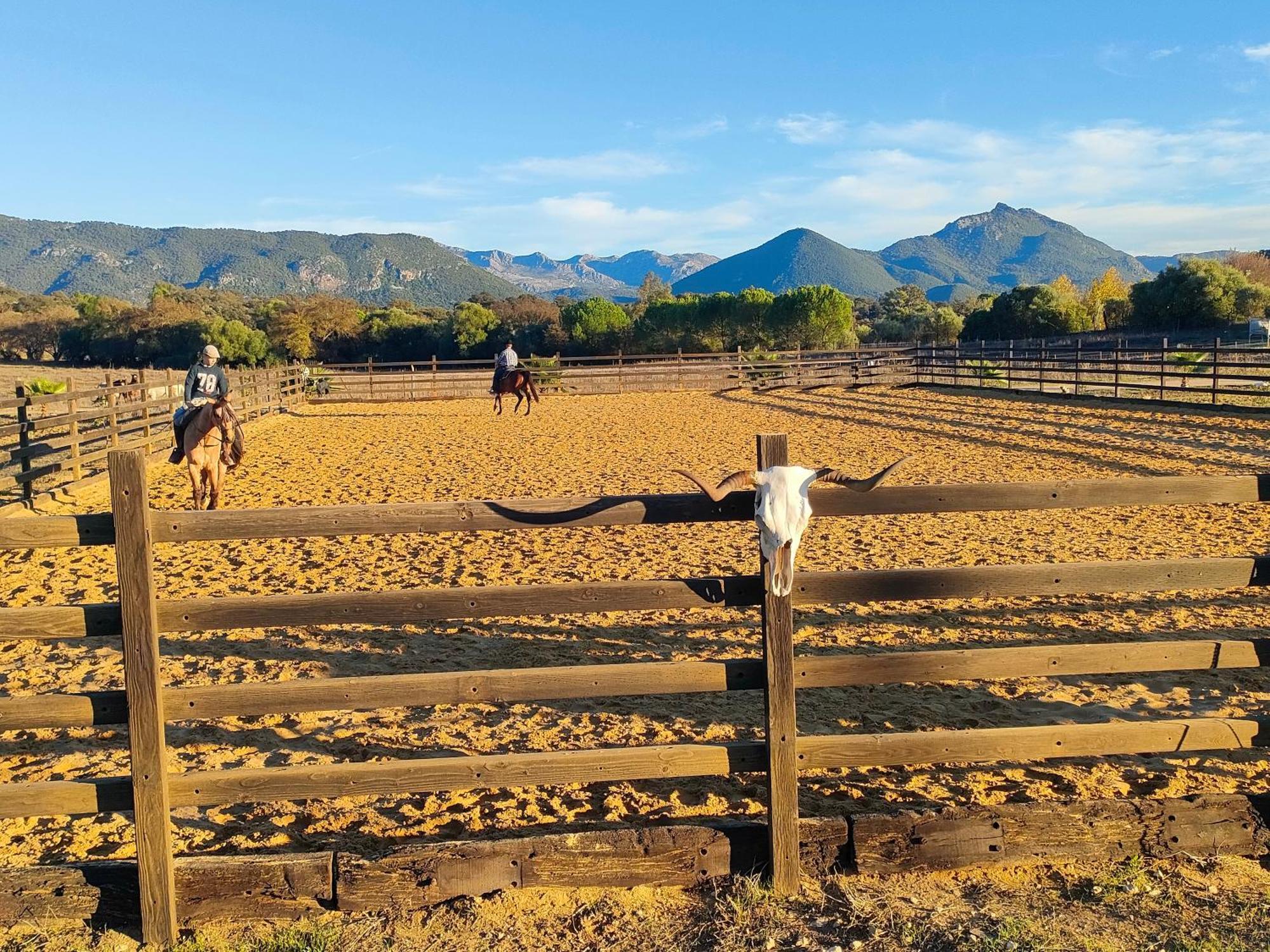 Cabana Rustica En Un Rancho Con Caballos, Prado Del Rey, Andalucia Dış mekan fotoğraf