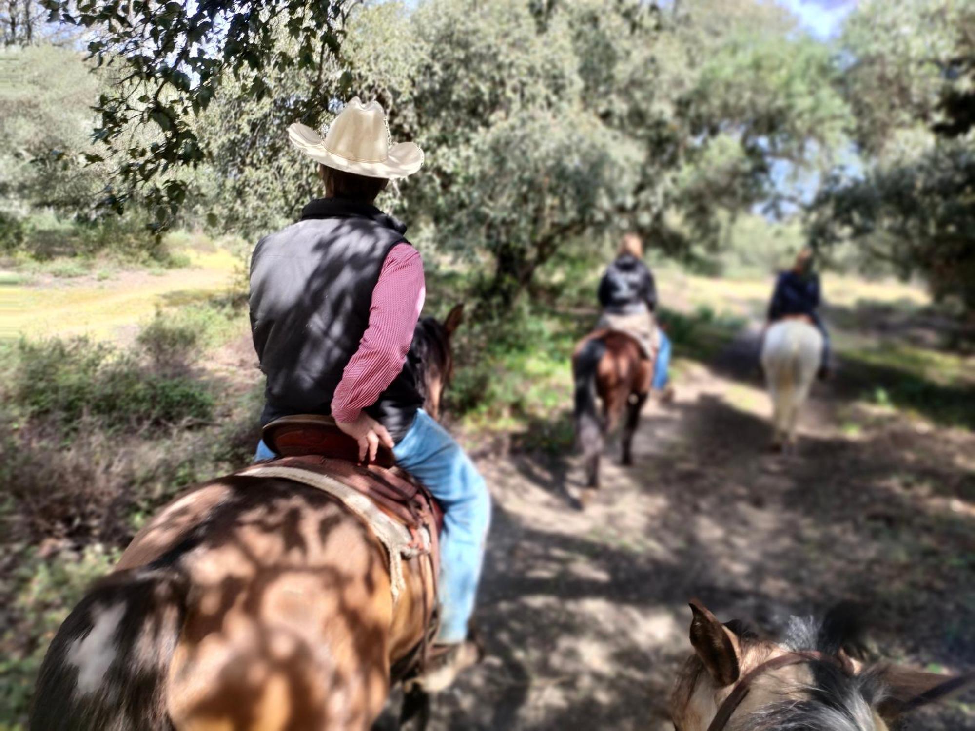 Cabana Rustica En Un Rancho Con Caballos, Prado Del Rey, Andalucia Dış mekan fotoğraf