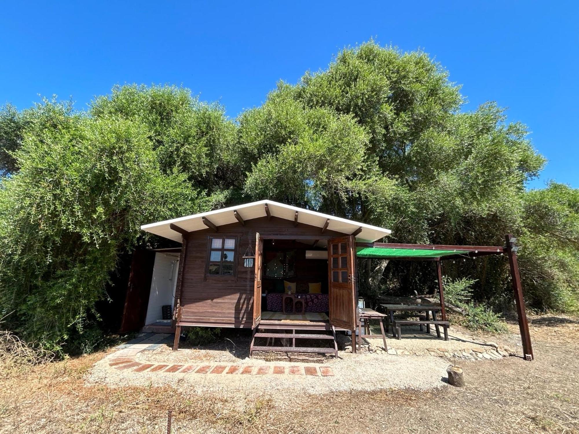 Cabana Rustica En Un Rancho Con Caballos, Prado Del Rey, Andalucia Dış mekan fotoğraf