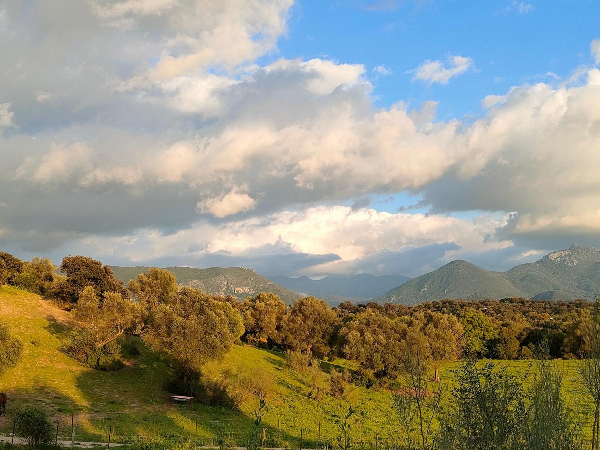 Cabana Rustica En Un Rancho Con Caballos, Prado Del Rey, Andalucia Dış mekan fotoğraf