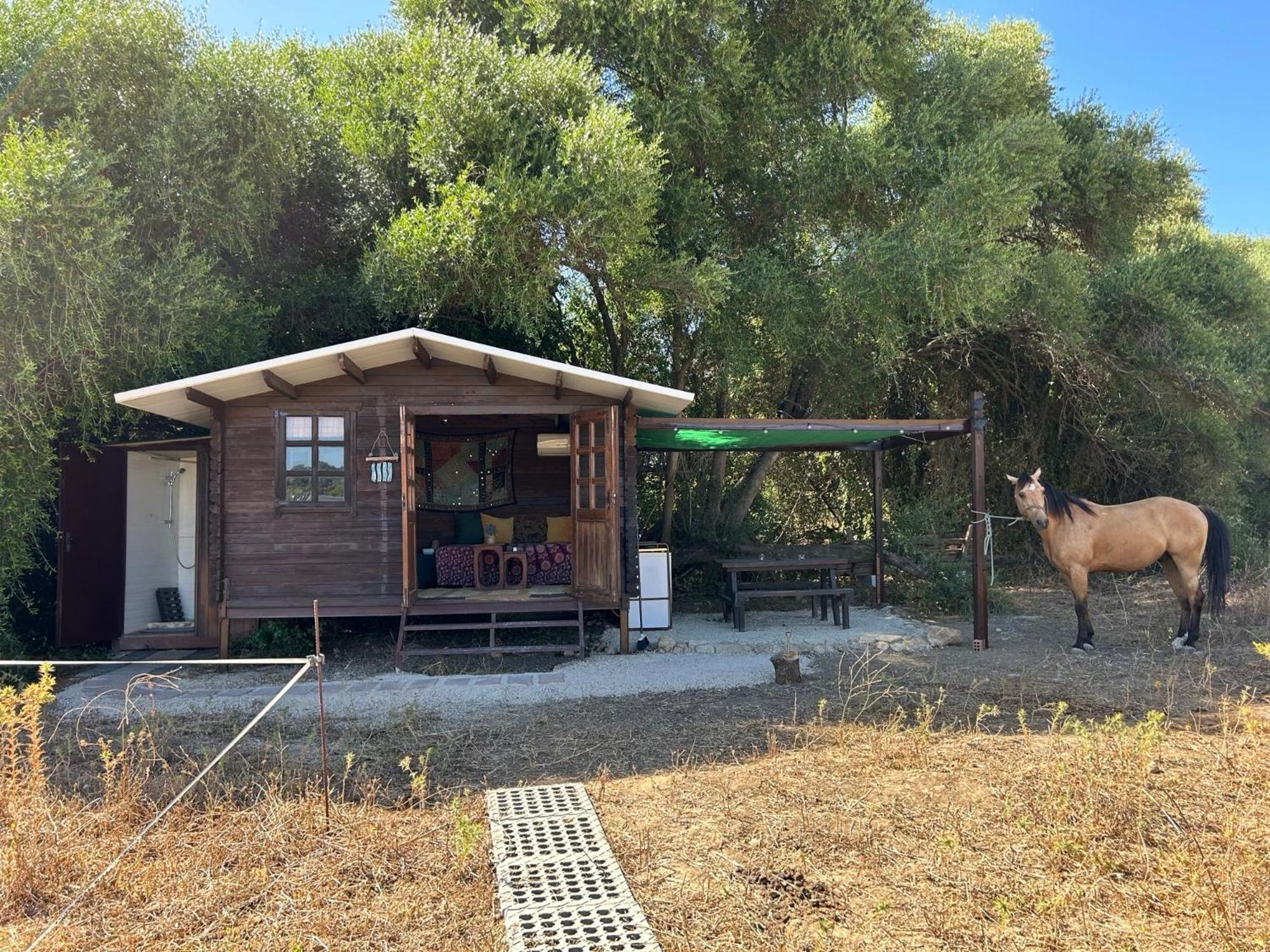 Cabana Rustica En Un Rancho Con Caballos, Prado Del Rey, Andalucia Dış mekan fotoğraf
