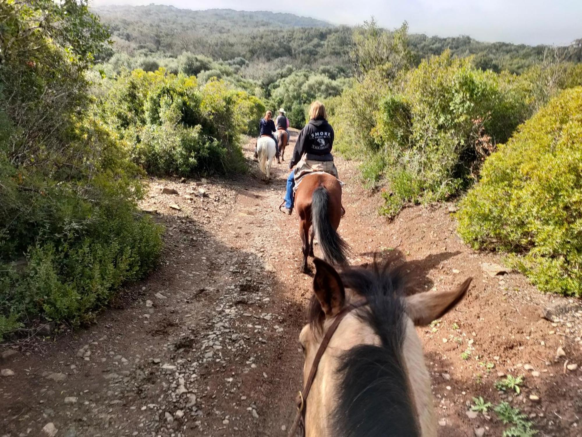 Cabana Rustica En Un Rancho Con Caballos, Prado Del Rey, Andalucia Dış mekan fotoğraf