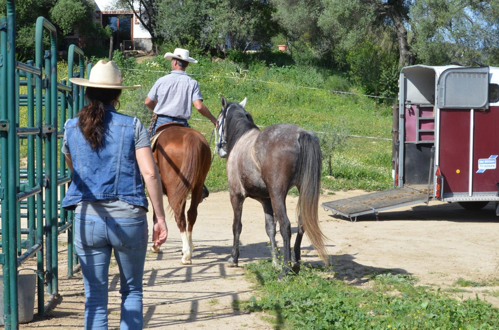 Cabana Rustica En Un Rancho Con Caballos, Prado Del Rey, Andalucia Dış mekan fotoğraf