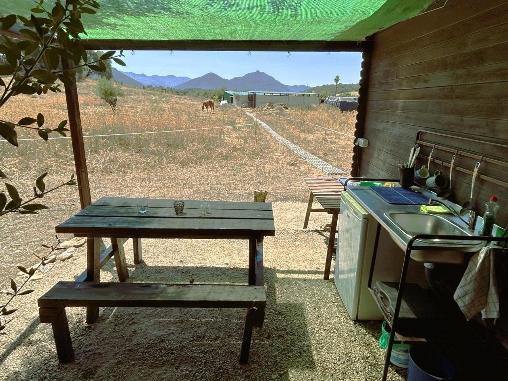 Cabana Rustica En Un Rancho Con Caballos, Prado Del Rey, Andalucia Dış mekan fotoğraf