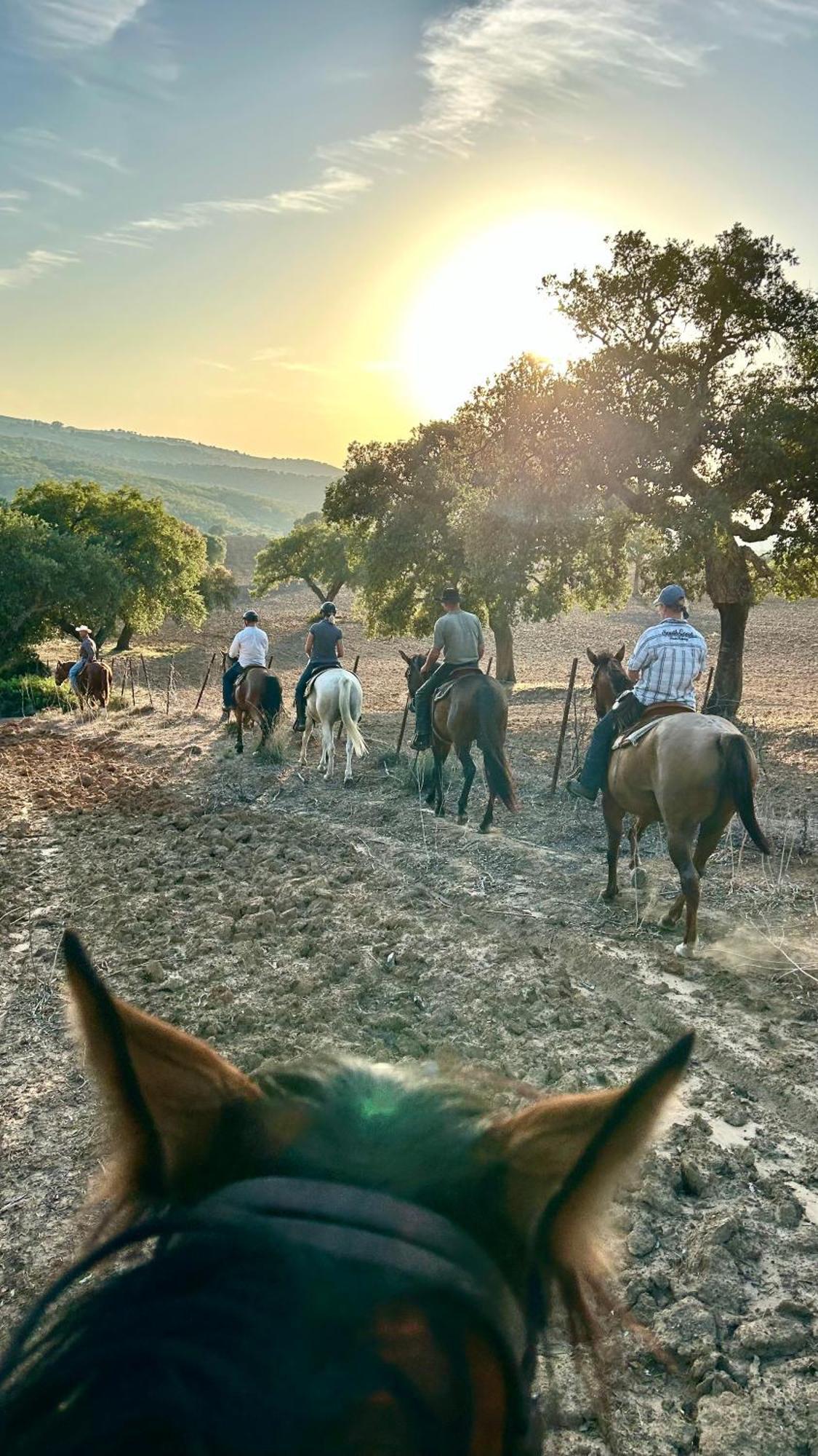 Cabana Rustica En Un Rancho Con Caballos, Prado Del Rey, Andalucia Dış mekan fotoğraf